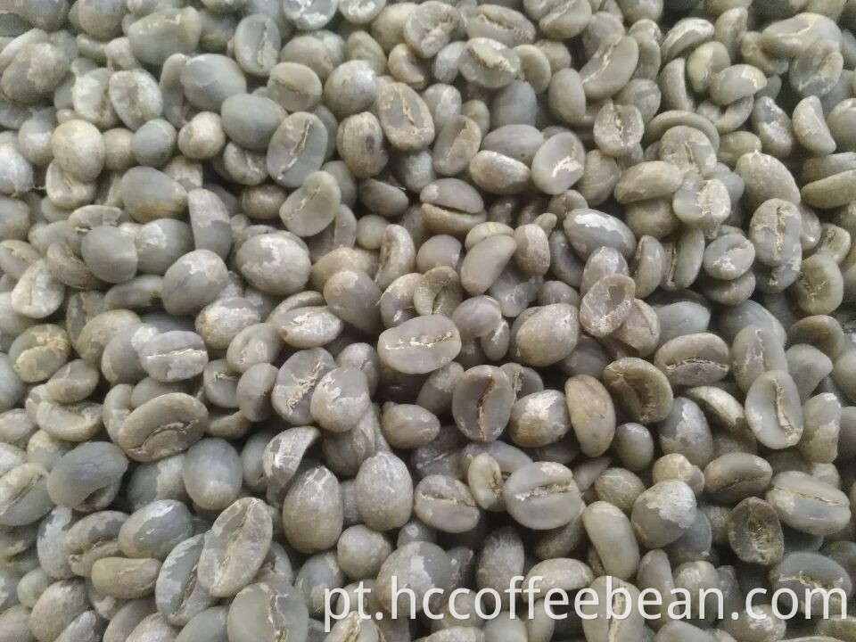 Grãos de café verde chinês, origem yunnan, tela 17-18, grau AA, tipo arábica